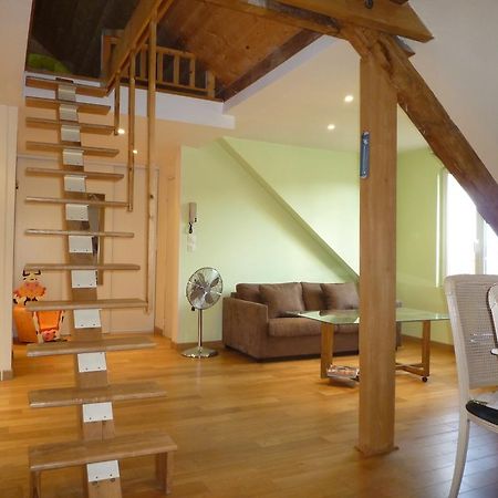 Apartament Les Mirabelles Metz Pokój zdjęcie
